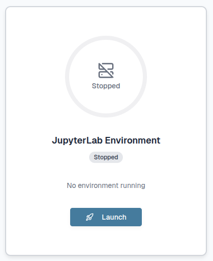 launch jupyterlab
