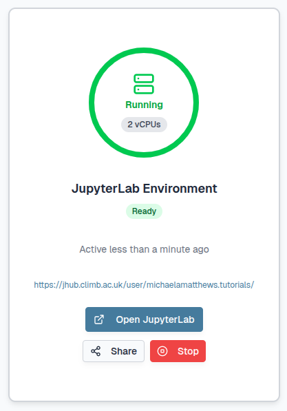 launch jupyterlab