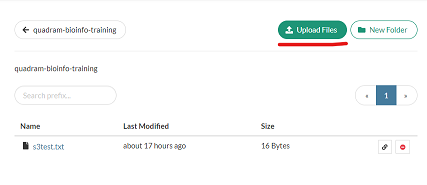 Bryn's web interface